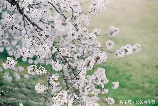上热门话题情感文案(情感语录经典短句)