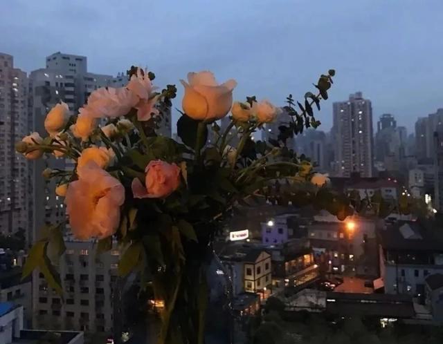不知所措情感文案(不知所措的文案)