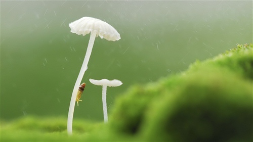 一切变得很陌生的说说 两个人变陌生了的说说30句