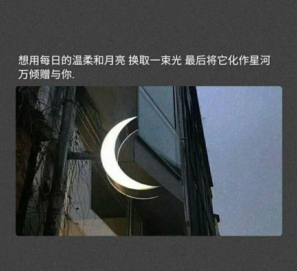坠入星河的温柔仙句图片