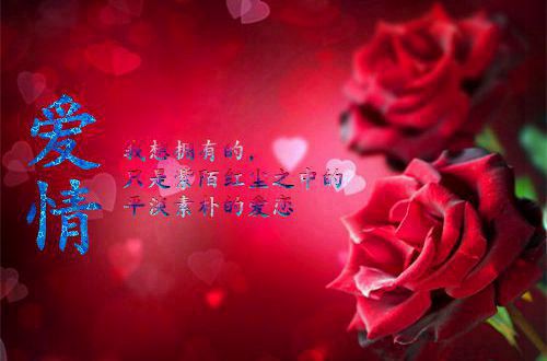 qq超拽个性签名非常霸道