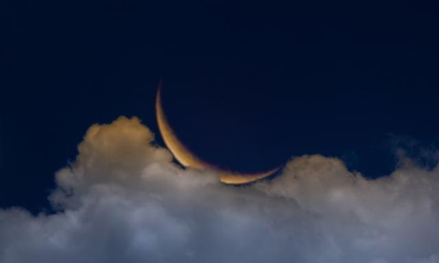 坠入星河的温柔仙句长篇