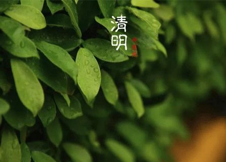 清明节跟生日同一天的有趣说说 过生日碰上清明节的文案
