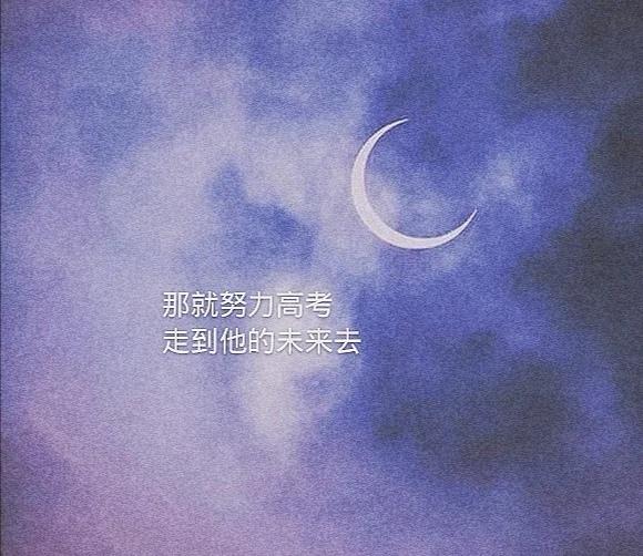 坠入星河的温柔配图