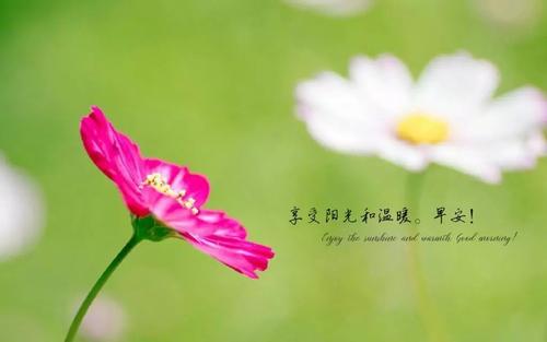 励志正能量的话