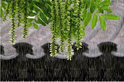淋雨的人醉了，听雨的人碎了