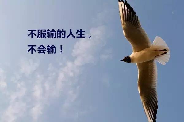 正能量唯美的句子诗情画意