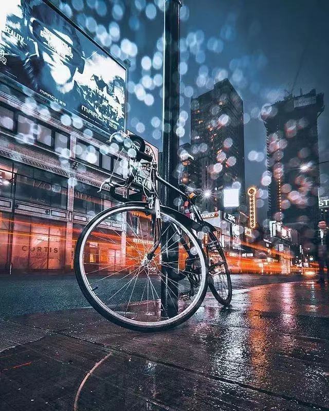 经典语录情感人生感悟短句