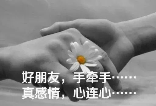 最扎心的情感语录