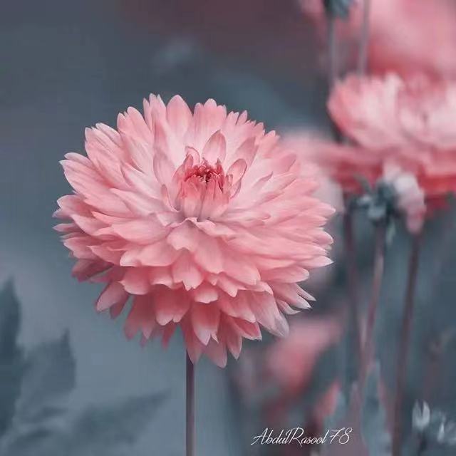 心灵鸡汤现实经典语录励志