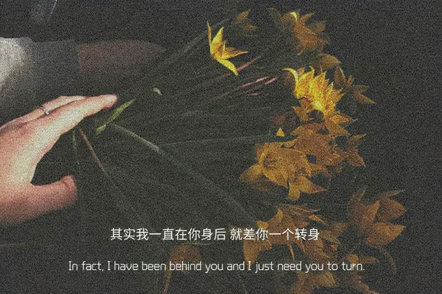 文案情感遗憾(情感遗憾的文案)