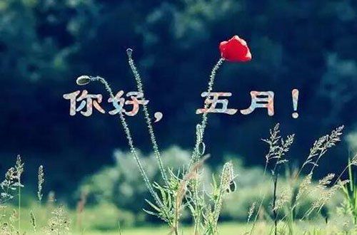 四月，再见！五月，你必须努力！