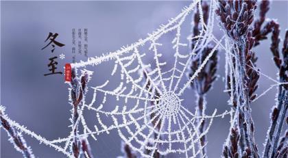 老牛吃草图 老牛吃懒草图片