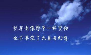 精神小伙经典语录大全
