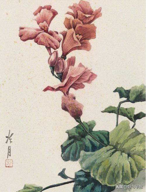 时光笔记情感文案(淘金阁素材网站)
