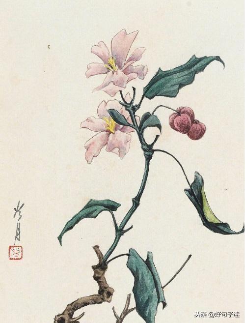 时光笔记情感文案(淘金阁素材网站)