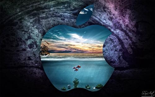 苦儿流浪记名句摘抄及感悟