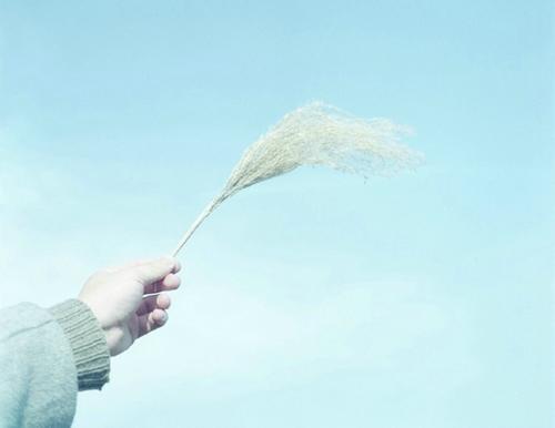 苦儿流浪记名句摘抄及感悟
