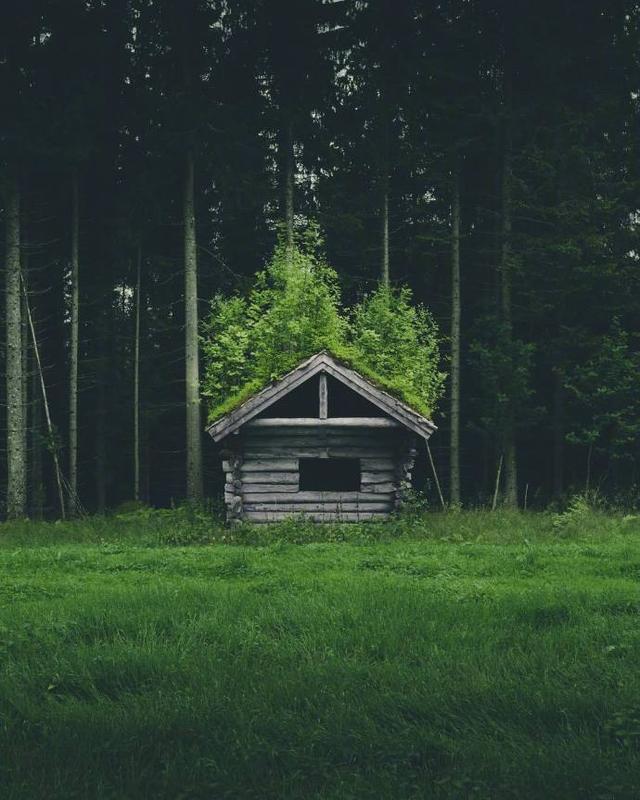 充满正能量的名人名句