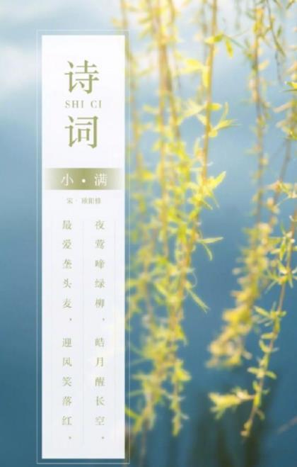 对婚姻失望的句子