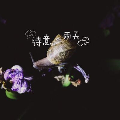 最暖心的小短句