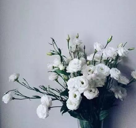心灵鸡汤经典语录励志短句