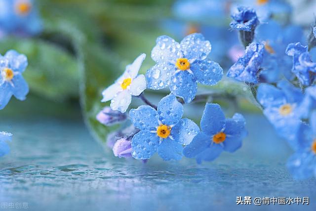 情感留言文案爱情(恋爱留言文案)