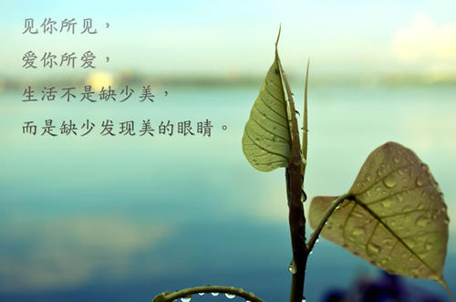 童年好词好句好段摘抄大全好句