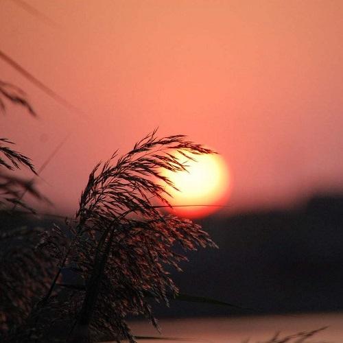 社会经典语录太经典