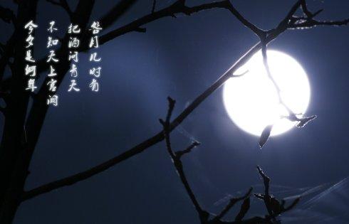 描写中秋节的好句摘抄
