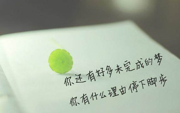 作文优美句子摘抄大全简短