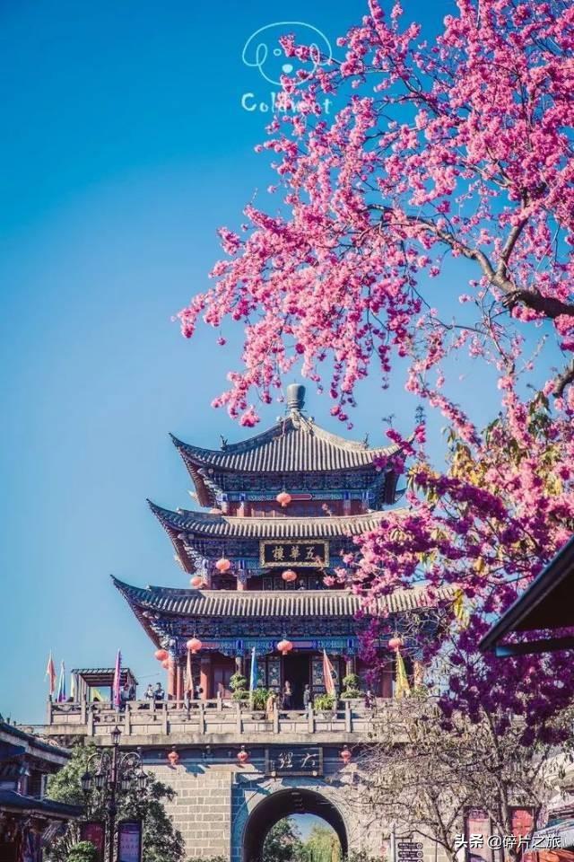 大理洱海文案高级励志(大理洱海发朋友圈文案)