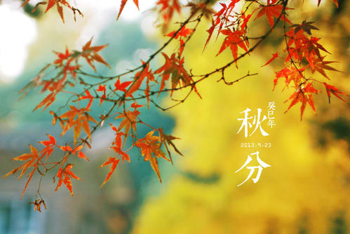 适合秋天发的简约说说