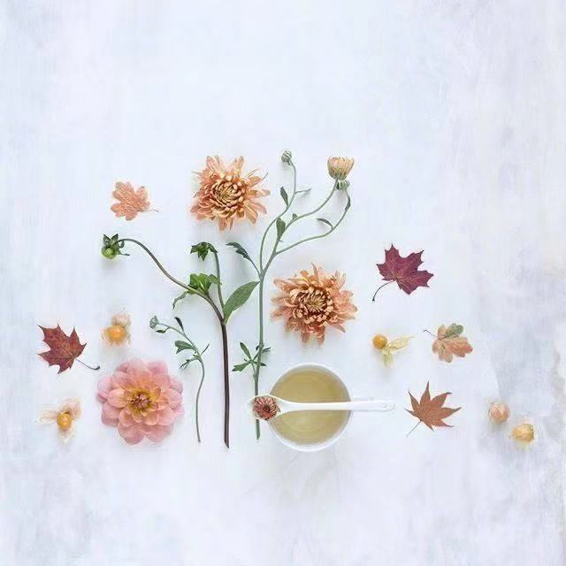 坚强哲理名言名句赏析