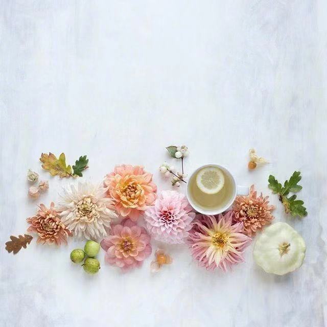 含有哲理的摘抄句子及赏析