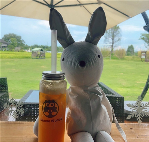 夏天热不想出门的说说 夏天太热发朋友圈说说27句