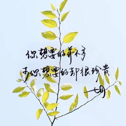 励志温柔到爆的神仙句子