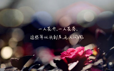 性签名唯美图片