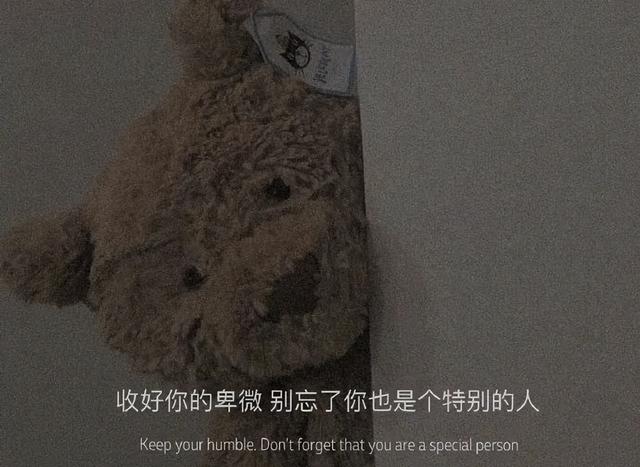 伤感文案扎心情感(爱情伤感文案扎心)