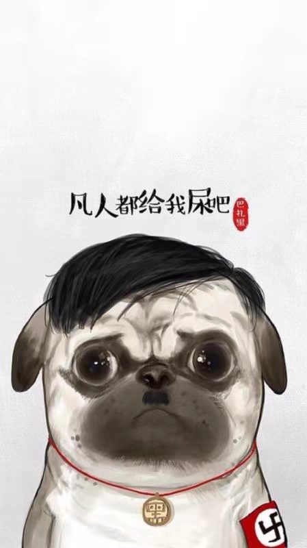 经典语录 生活 烟火气