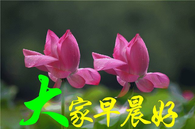 2021年每天最新的早上问候语 2021温馨早安语