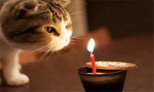 高情商祝自己生日快乐 发朋友圈必备的15条说说