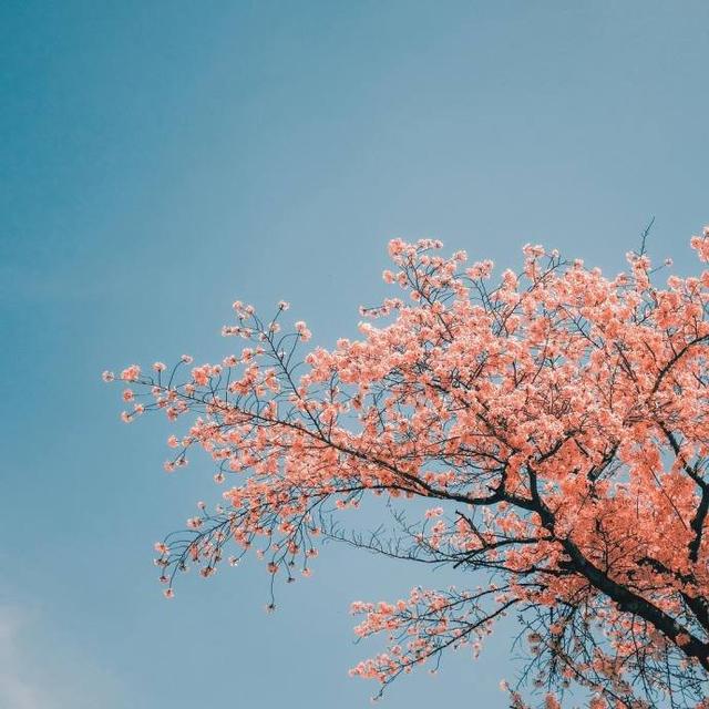 无法形容现在心情的说说