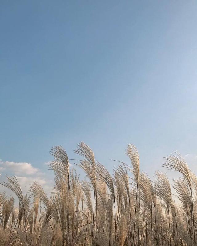 无法形容现在心情的说说