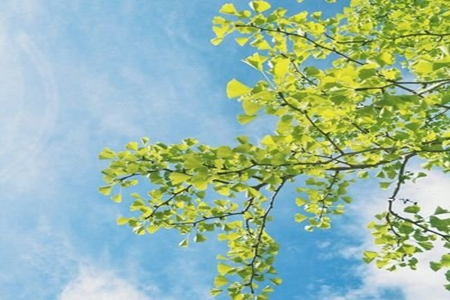 四月再见五月你好的文案，适合发朋友圈的简短句子