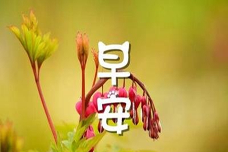 清晨问候语句子，简短暖心的早安碎碎念