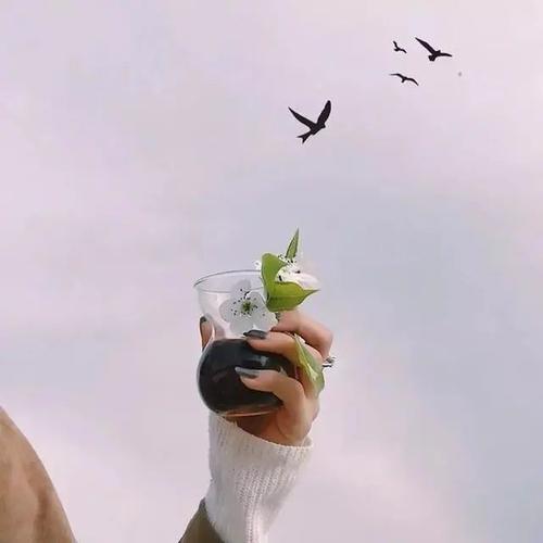 生活感悟简短语录