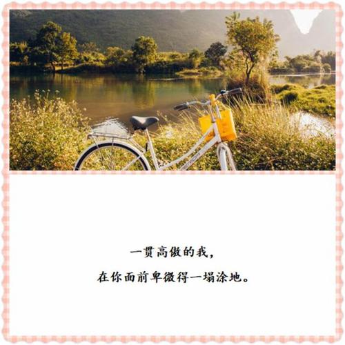 高级情话短句文学