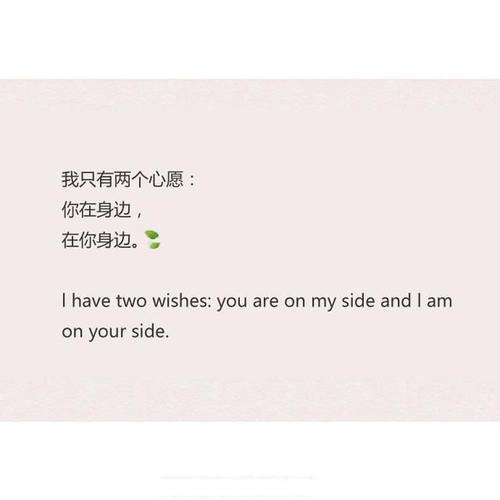 含蓄高级的情话