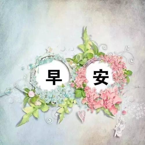 早安心灵鸡汤经典语录励志短句